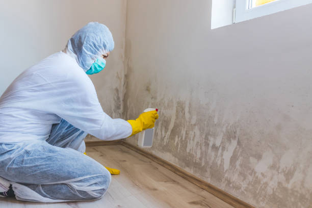 Commercial Mold Remediation assessment for commercial property in Lewisberry