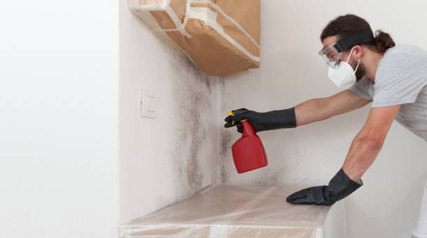 Attic Mold Remediation treatment on roof deck in Lewisberry